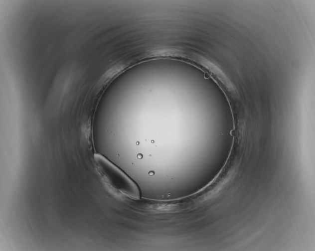 X0000116330841200912011131
