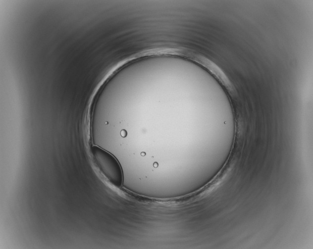 X0000116330844200912011131