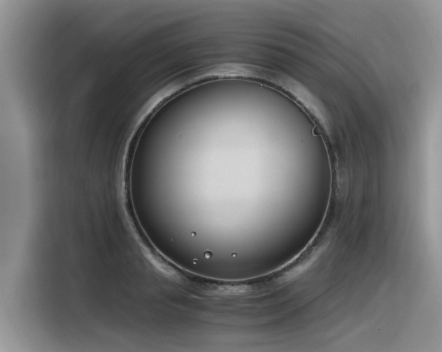 X0000116330845200912011131