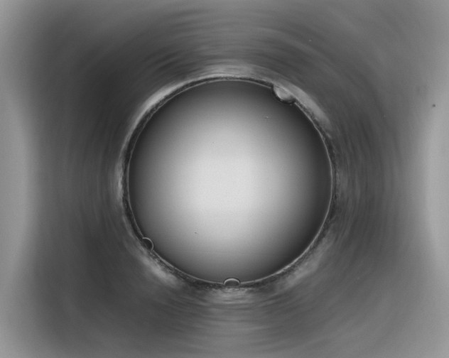 X0000116330846200912011131