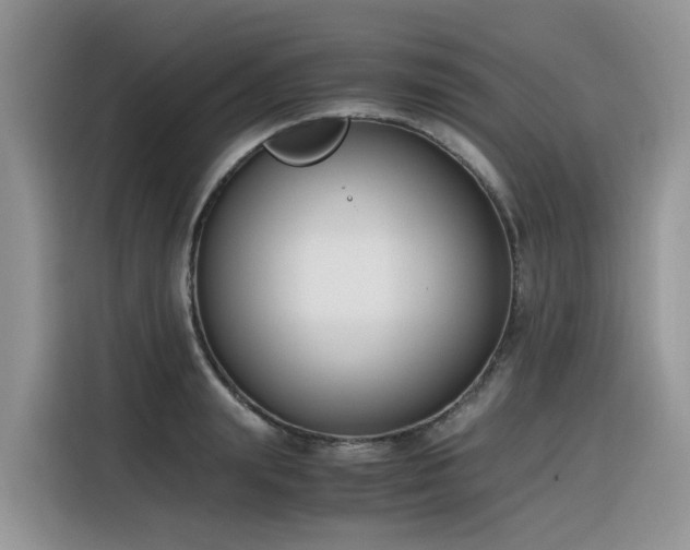 X0000116330847200912011131