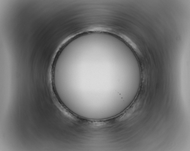 X0000116330848200912011131