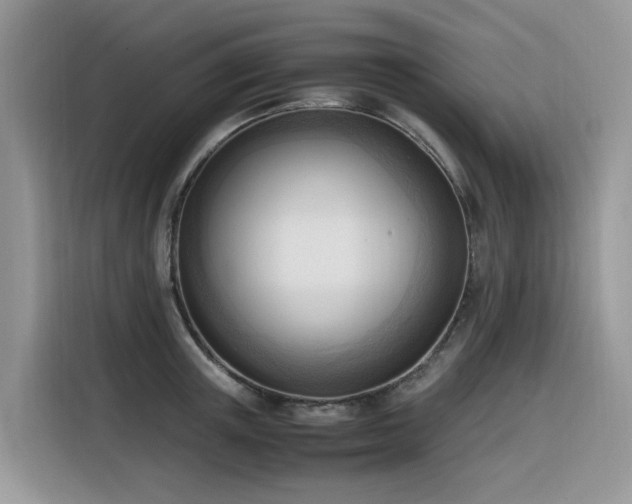 X0000116330851200912011131
