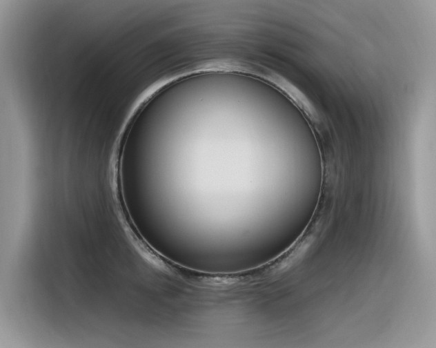 X0000116330854200912011131