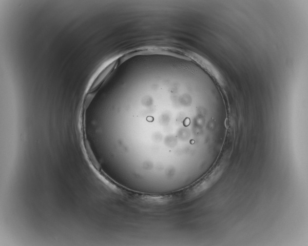 X0000116330855200912011131