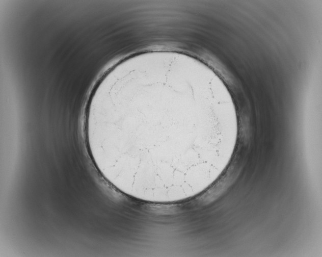 X0000116330856200912011131