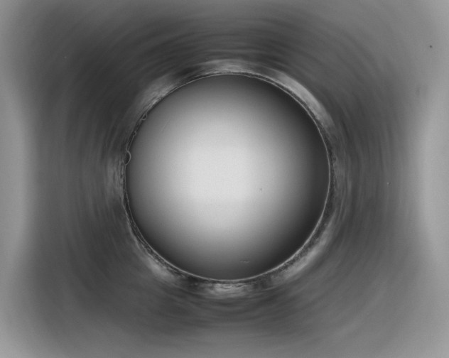 X0000116330857200912011131