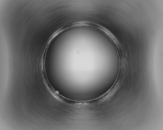 X0000116330858200912011131