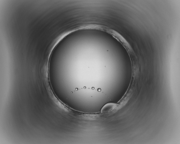 X0000116330860200912011131