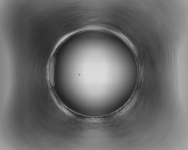 X0000116330862200912011131