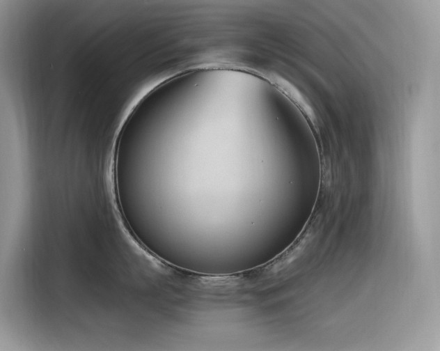 X0000116330863200912011131