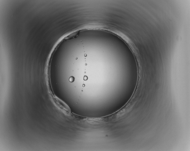 X0000116330864200912011131