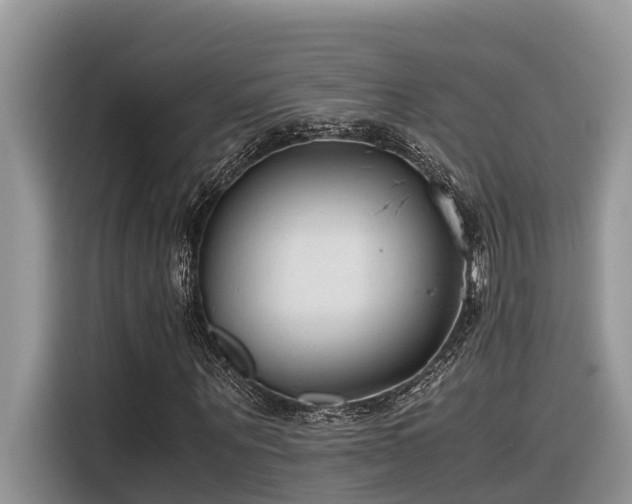 X0000116330867200912011130