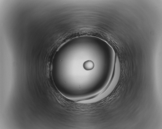 X0000116330868200912011130