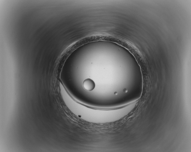 X0000116330872200912011130