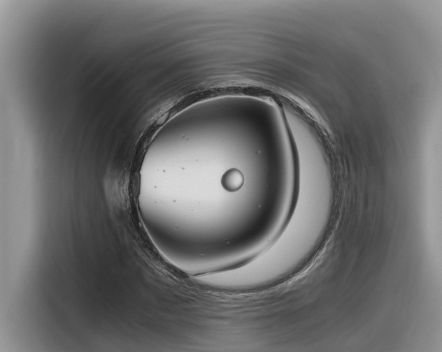 X0000116330873200912011130