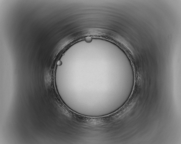 X0000116330874200912011130