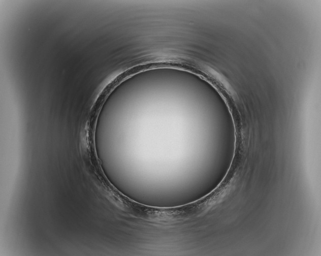 X0000116330875200912011130