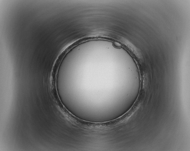 X0000116330876200912011130