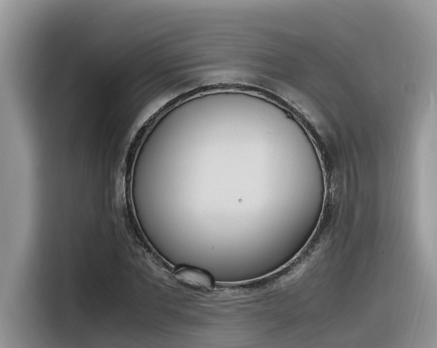 X0000116330877200912011130