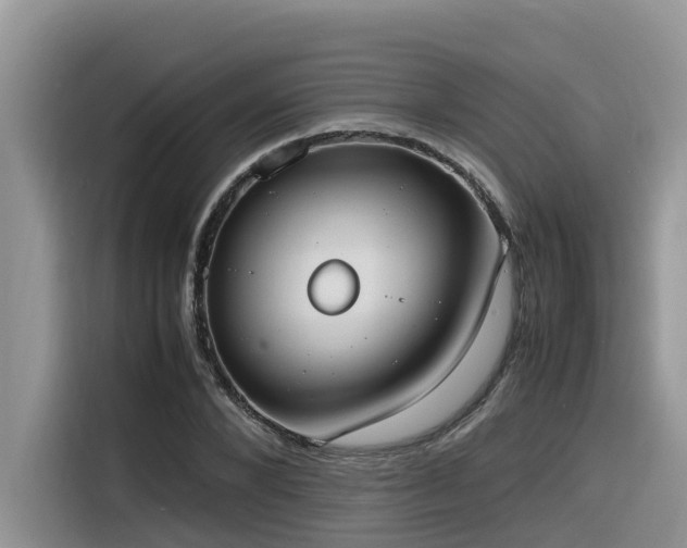 X0000116330880200912011130