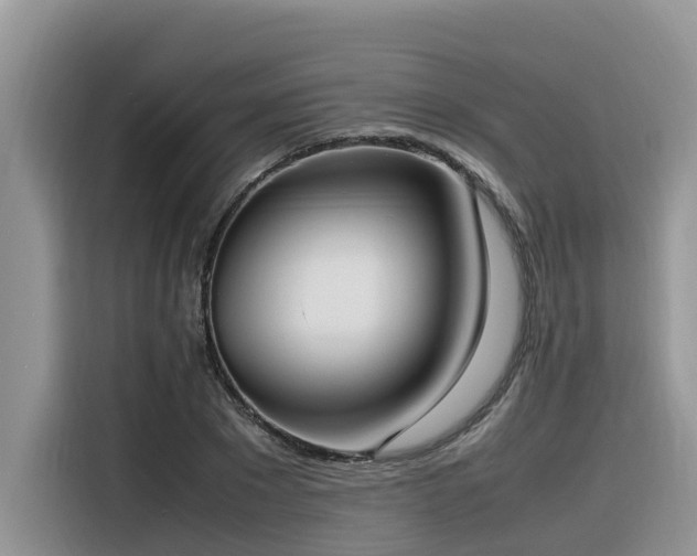 X0000116330881200912011130