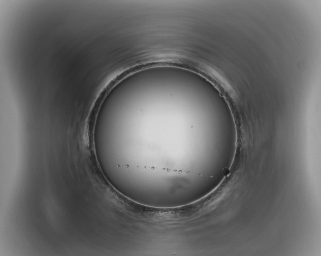 X0000116330883200912011130