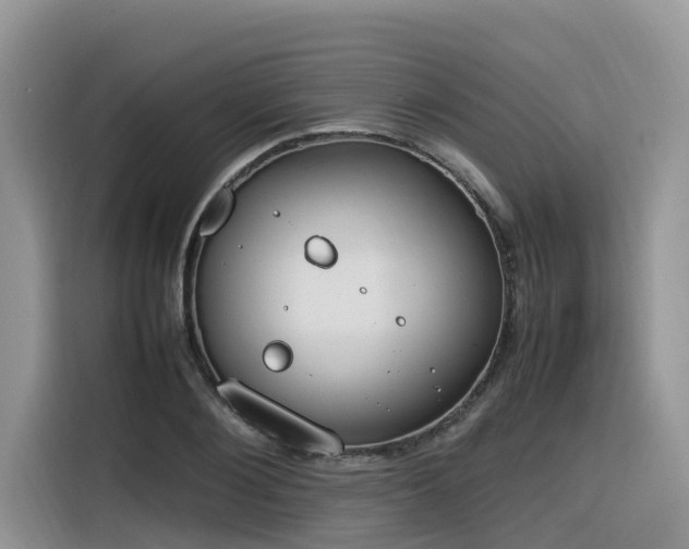 X0000116330884200912011130