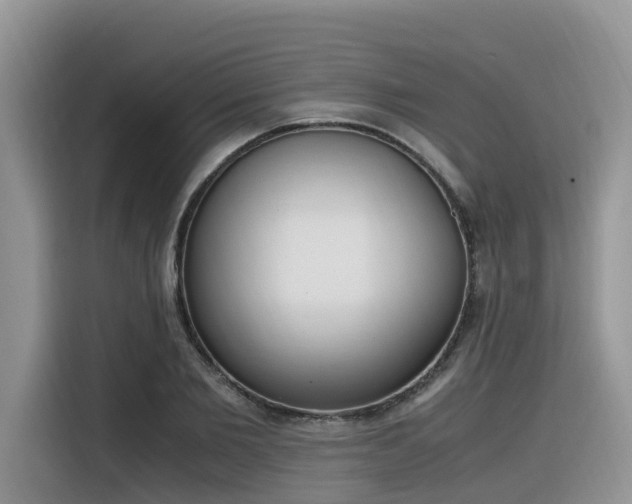 X0000116330885200912011130