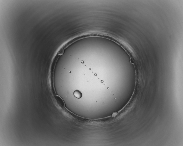 X0000116330888200912011130