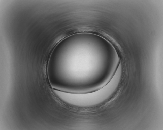 X0000116330889200912011130