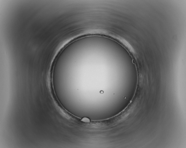 X0000116330895200912011130