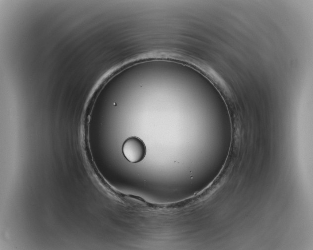 X0000116330896200912011130