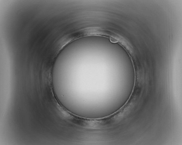 X0000116330897200912011130