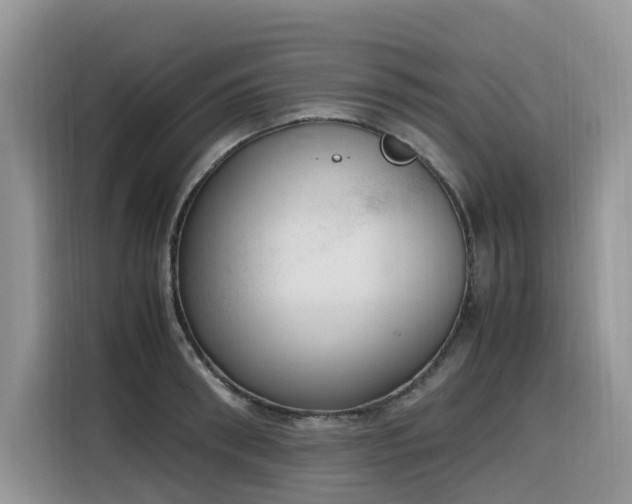X0000116330898200912011130