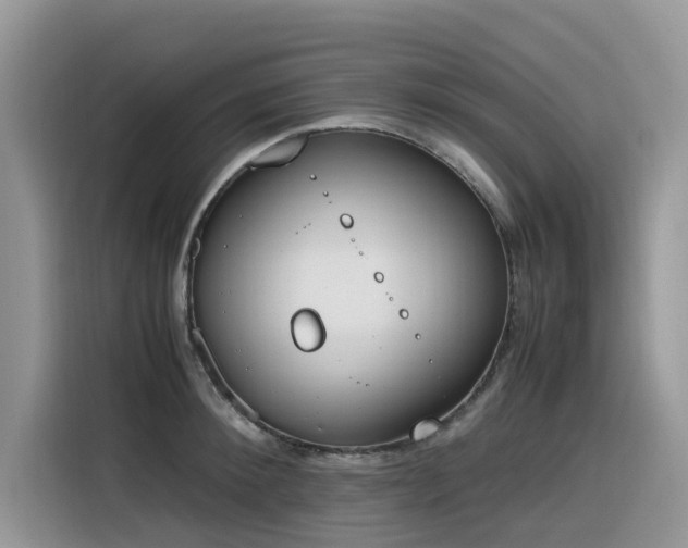 X0000116330900200912011130