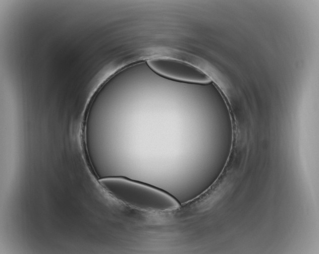 X0000116330901200912011130