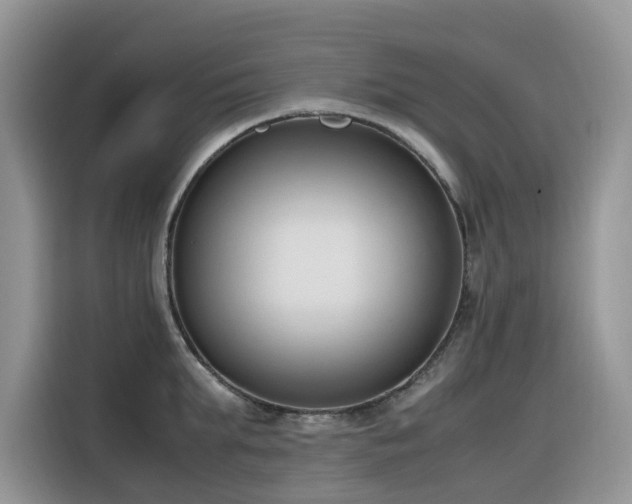 X0000116330903200912011130