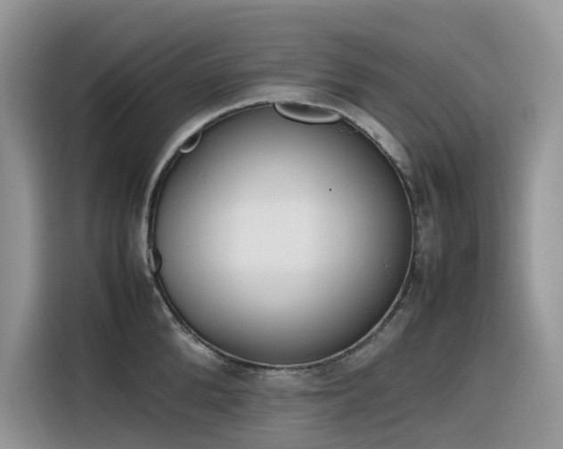 X0000116330904200912011130