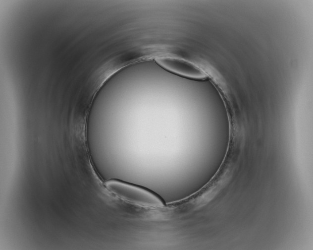 X0000116330905200912011130