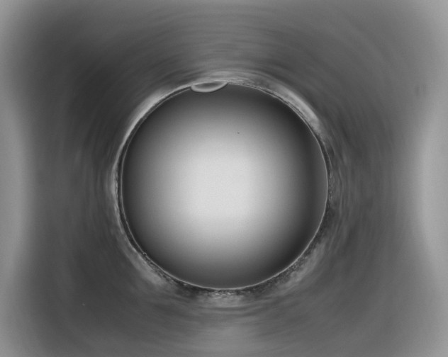 X0000116330907200912011130