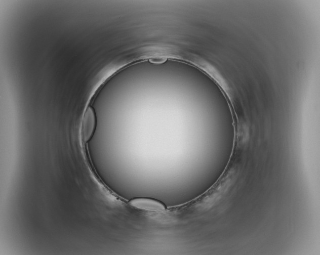 X0000116330909200912011130