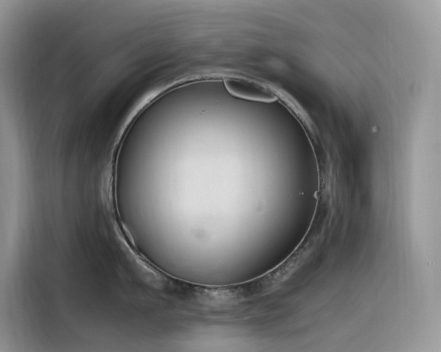 X0000116330911200912011130