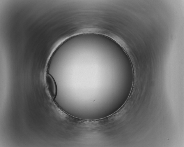 X0000116330912200912011130