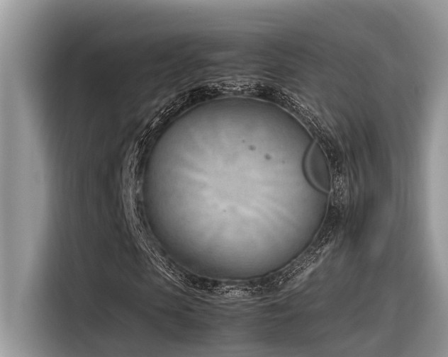 X0000116330913200912011129