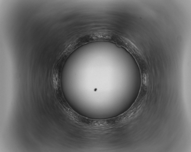X0000116330915200912011129