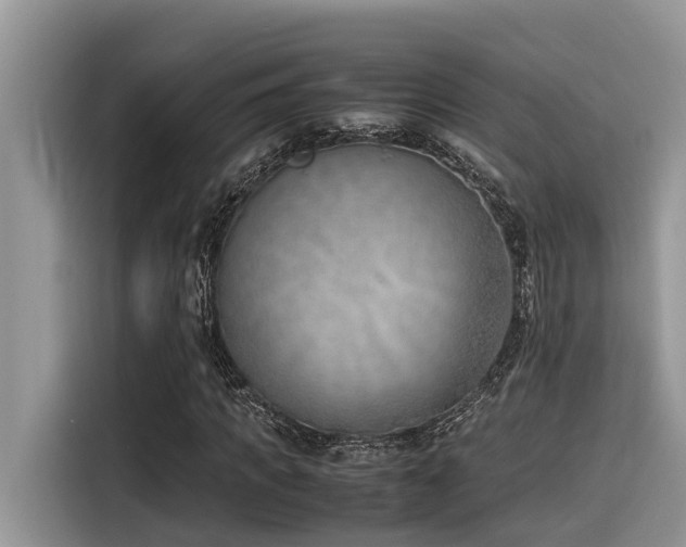 X0000116330917200912011129