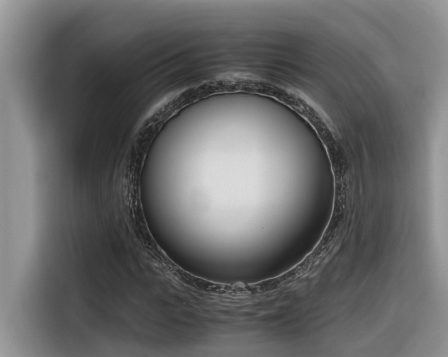 X0000116330919200912011129