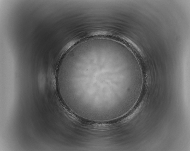 X0000116330921200912011129