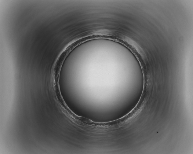 X0000116330923200912011129